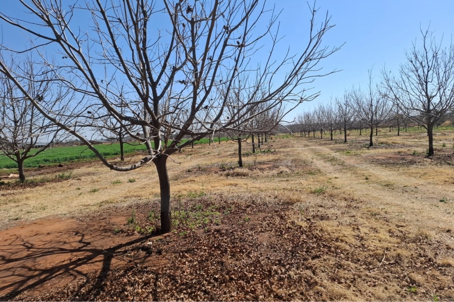 0 Bedroom Property for Sale in Hartswater Northern Cape